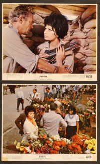 6v162 JUDITH 7 color 8x10 stills '66 sexiest Sophia Loren & Peter Finch, directed by Daniel Mann!
