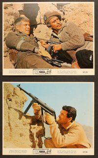 6v203 TOBRUK 6 color 8x10 stills '67 soldiers Rock Hudson & George Peppard in World War II!