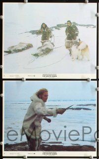 6v150 WHITE DAWN 8 8x10 mini LCs '74 Warren Oates, Timothy Bottoms & Lou Gossett in Arctic Canada!