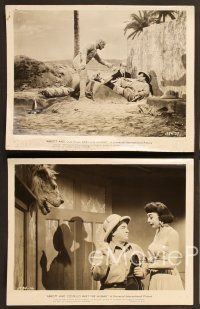 6x623 ABBOTT & COSTELLO MEET THE MUMMY 7 8x10 stills '55 great images of Bud & Lou w/ the monster!