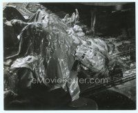 6x590 MADHOUSE 8x10 still '74 really gory super close up of mutilated dead body!
