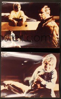6x705 BROOD 17 Dutch color 8x10 stills '79 Oliver Reed, Samantha Eggar, directed by David Cronenberg