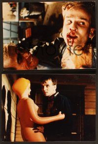 6x704 GATES OF HELL 20 Dutch color 8x11 stills '83 Lucio Fulci, lots of great zombie images!
