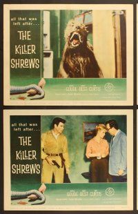 6x505 KILLER SHREWS 8 LCs '59 Ingrid Goude, James Best, includes two great monster scenes!