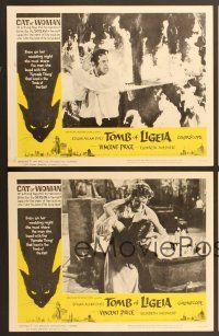 6x549 TOMB OF LIGEIA 4 LCs '65 Vincent Price, Roger Corman, Edgar Allan Poe, cool cat border art!