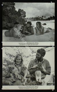 6z533 BORN FREE 2 11x13.25 stills '66 great images of Virginia McKenna & Bill Travers w/lions!