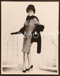 6z623 NATALIE WOOD 2 11x14 stills '50s great full-length portraits of most sexy star!
