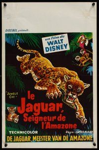 7a647 JUNGLE CAT Belgian '60 Disney, great artwork of jaguar, savage lord of the Amazon!