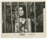 7b437 PLANET OF THE APES 8x10 still '68 close up of sexy Linda Harrison in cage with two apes!