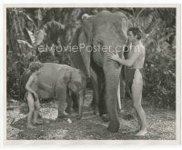 7b509 TARZAN FINDS A SON deluxe 8x10 still '39 Johnny Weissmuller & Johnny Sheffield with elephants!