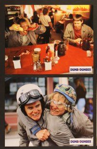 7e885 DUMB & DUMBER 8 French LCs '95 Jim Carrey & Jeff Daniels are Harry & Lloyd, wacky images!