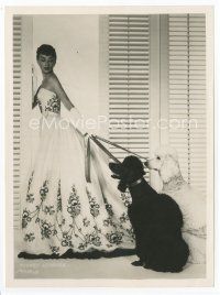 7f058 AUDREY HEPBURN 7x9.5 still '54 wonderful portrait with her giant poodle dogs Sabrina!