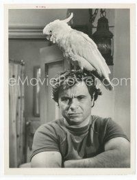 7f399 ROBERT BLAKE TV 7x9 still '75 posing with Fred the Cockatoo on his head from Baretta!