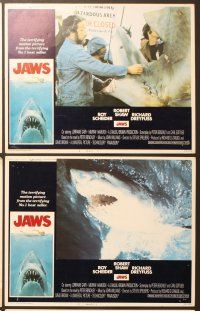 7g544 JAWS 6 LCs '75 art of Steven Spielberg's classic, Roy Scheider, Richard Dreyfuss!