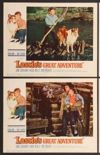 7g202 LASSIE'S GREAT ADVENTURE 8 LCs '63 great images of most classic Collie dog!
