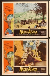 7g264 NAKED AFRICA 8 LCs '57 AIP shockumentary, primitive passions unleashed!