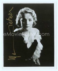 7j231 MARLENE DIETRICH signed 8x10 REPRO still '70s wonderful super young portrait of the star!