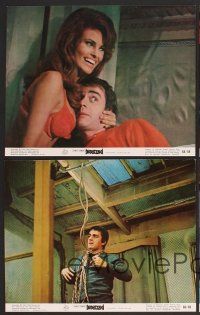 7t228 BEDAZZLED 7 color 8x10 stills '68 classic fantasy, Dudley Moore, sexy Raquel Welch!