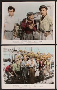 7t185 BENEATH THE 12-MILE REEF 10 color 8x10 stills '53 Robert Wagner, Terry Moore!