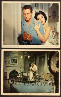 7t230 CAT ON A HOT TIN ROOF 7 color Eng/US 8x10 stills '58 Elizabeth Taylor, Paul Newman!