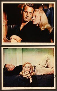 7t171 SWEET BIRD OF YOUTH 12 color Eng/US 8x10 stills '62 Paul Newman, Geraldine Page, Rip Torn!