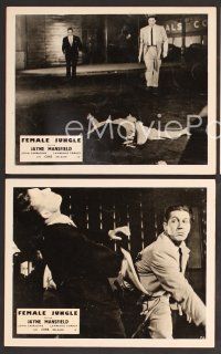 7t093 FEMALE JUNGLE 3 English FOH LCs '56 Kathleen Crowley, Lawrence Tierney!