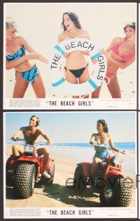 7t543 BEACH GIRLS 8 8x10 mini LCs '82 Debra Blee, Val Kline, teens, sex & drugs!