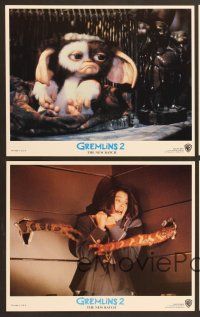 7t578 GREMLINS 2 8 8x10 mini LCs '90 wacky horror images, Phoebe Cates, Keye Luke, Gizmo!