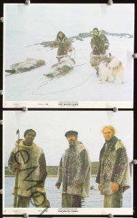 7t248 WHITE DAWN 4 8x10 mini LCs '74 Warren Oates, Timothy Bottoms, Lou Gossett, Arcitc adventure!