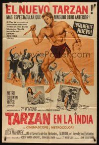 8d309 TARZAN GOES TO INDIA Argentinean '62 great image of Jock Mahoney as the King of the Jungle!