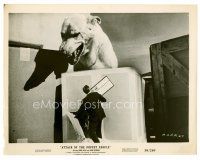 8w109 ATTACK OF THE PUPPET PEOPLE 8x10 still '58 tiny guy breaks into box to hide from giant dog!