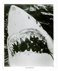 8w414 JAWS 8x10 still '75 Steven Spielberg, best close up of Bruce the man-eating shark!