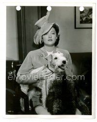 8w607 SHADOW OF THE THIN MAN 8x10 key book still '41 Myrna Loy with Asta the Dog in her lap!