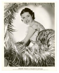8x100 DOROTHY WILSON 8x10 still '34 cool portrait of the pretty actress surrounded by palm leaves!