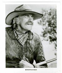 8x211 JAMES ARNESS 8x10 TV still '77 as mountainman Zeb Macahan in How the West Was Won!