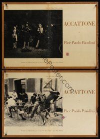 8y628 ACCATTONE 4 Italian photobustas '61 1st Pier Paolo Pasolini, Franco Citti, prostitution!