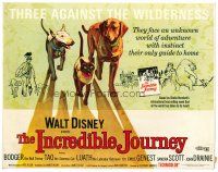 9b062 INCREDIBLE JOURNEY TC R74 Disney, art of Bull Terrier, Siamese cat & Labrador Retriever!