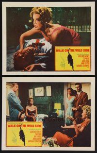 9c864 WALK ON THE WILD SIDE 2 LCs '62 Jane Fonda, Laurence Harvey, Barbara Stanwyck!