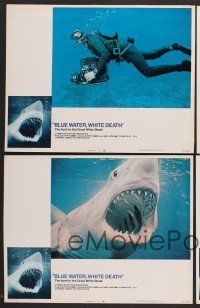 9c567 BLUE WATER, WHITE DEATH 4 LCs '71 cool super close image of great white shark with open mouth!