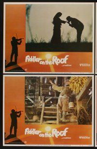 9c142 FIDDLER ON THE ROOF 8 LCs R79 Topol, Norma Crane, Leonard Frey, directed by Norman Jewison!