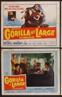 9c165 GORILLA AT LARGE 8 LCs '54 giant ape holding screaming sexy Anne Bancroft!