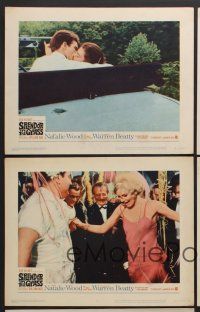 9c549 SPLENDOR IN THE GRASS 5 LCs '61 Natalie Wood kissing Warren Beatty, directed by Elia Kazan!