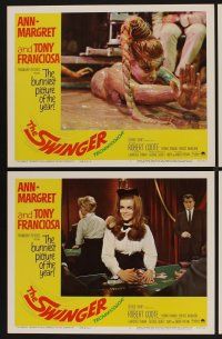 9c357 SWINGER 8 LCs '66 super sexy Ann-Margret, Tony Franciosa, the bunniest picture of the year!