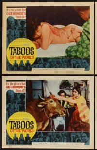 9c359 TABOOS OF THE WORLD 8 LCs '65 I Tabu, AIP, it's the picture that OUT-MONDO's them all!
