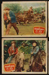9c465 UNTAMED BREED 7 LCs '48 Sonny Tufts fighting with men & bull, pretty Barbara Britton!