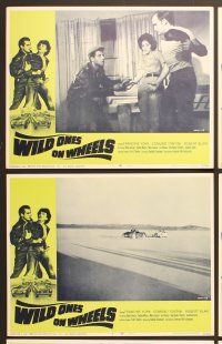 9c510 WILD ONES ON WHEELS 6 LCs R67 Francine York, Edmund Tontini, young rebels!