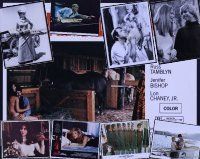 9d015 LOT OF 47 LOBBY CARDS AND 11x14s lot '71 - '82 Female Bunch, Christian Licorice Store & more!