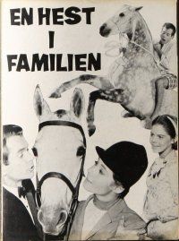 9d194 HORSE IN THE GRAY FLANNEL SUIT Danish program '71 Walt Disney, Dean Jones, different images!
