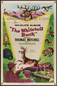 9e968 WHITETAIL BUCK 1sh '55 RKO nature documentary, art of deer & forest animals!