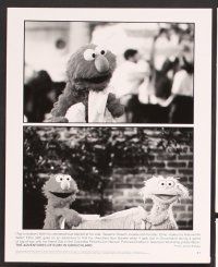 9f849 ELMO IN GROUCHLAND 5 8x10 stills '99 Sesame Street Muppets, the good, the bad & the stinky!